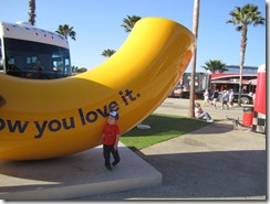 IMG_1556