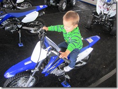 IMG_1624 IMG_1624