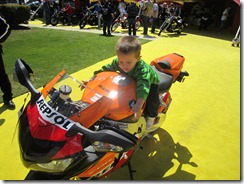 IMG_1631 IMG_1631