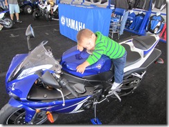 IMG_1679 IMG_1679