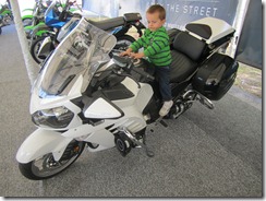 IMG_1686 IMG_1686
