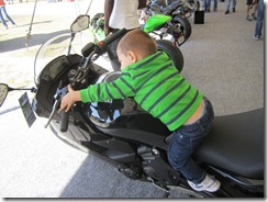 IMG_1690 IMG_1690